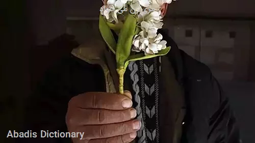 مری زن می خواد